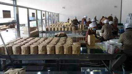 攜賀開古樹茶,迎普洱新世界