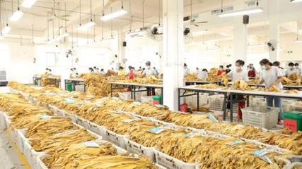 寧遠縣:&ldquo;三舉措&rdquo;破除農村集體經濟發(fā)展瓶頸