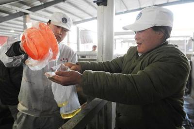 雙匯涉&ldquo;瘦肉精&rdquo;產(chǎn)品下架 工廠停產(chǎn)自查(組圖)