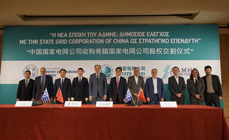 國家電網(wǎng) 服務(wù) 一帶一路 推進(jìn)互聯(lián)互通